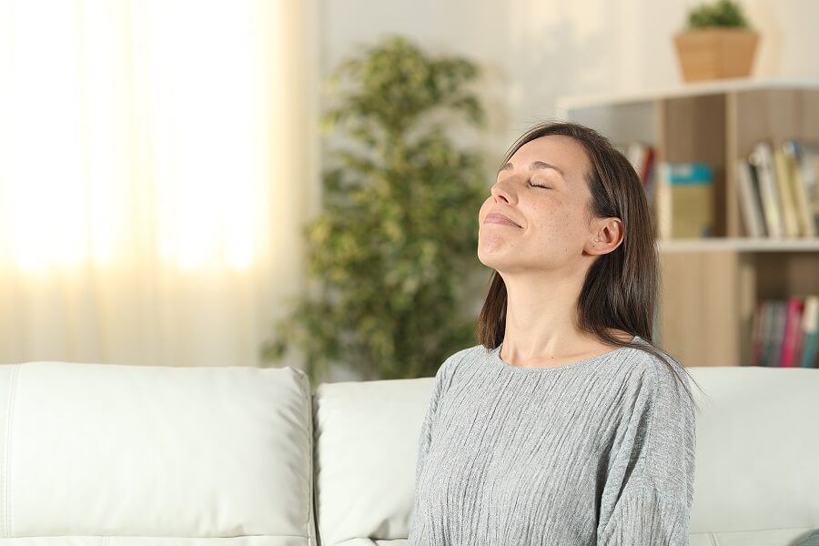 The Significance of Pure Air Inside Your Home