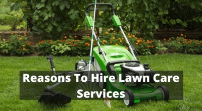 Reasons To Hire Lawn Care Services