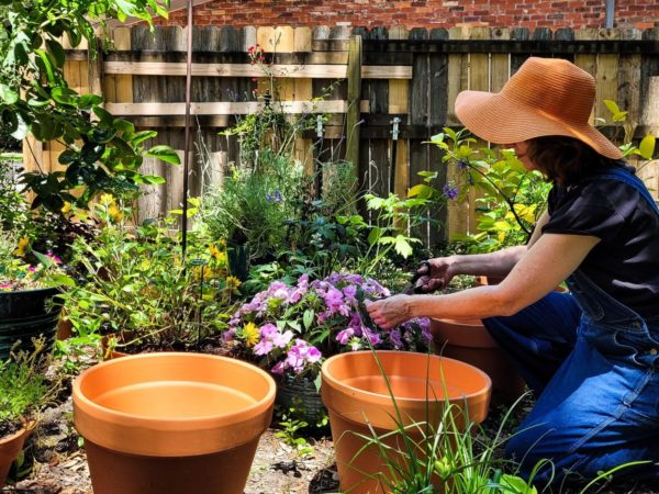 What Should I Look For In A Gardening Hat?
